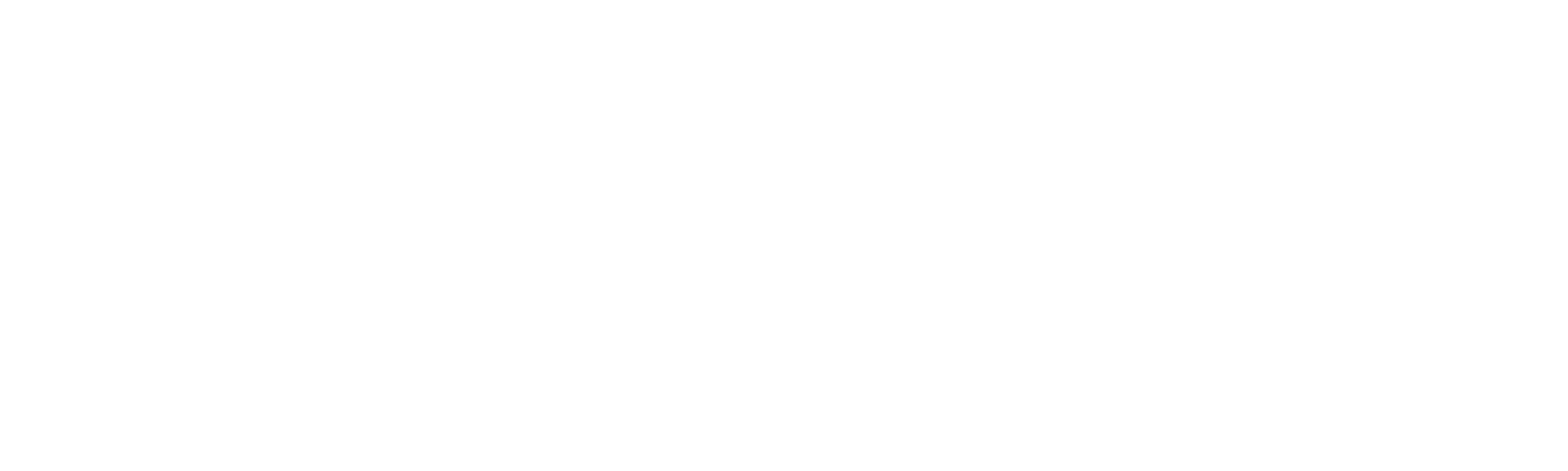 AIDEN Logo